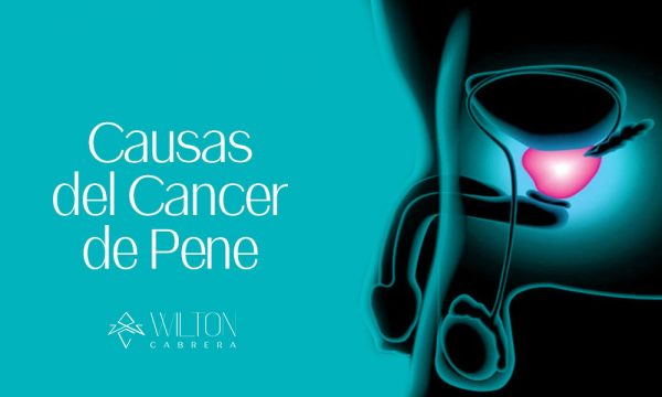 Causas Del Cáncer De Pene ¿en Qué Consiste Síntomas Y Prevención